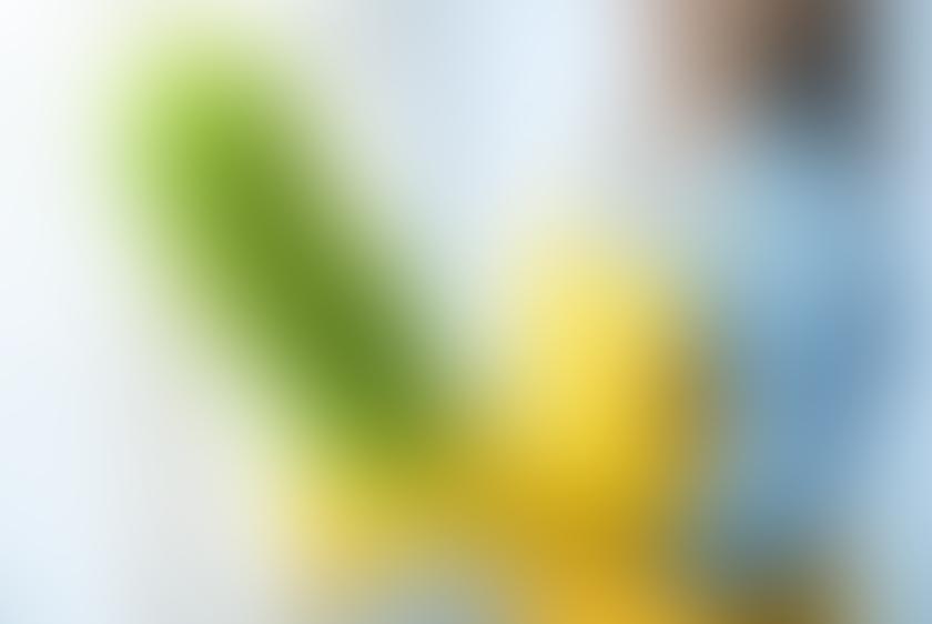 Gündelik ev temizliği